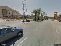 בעלי חיים фауна